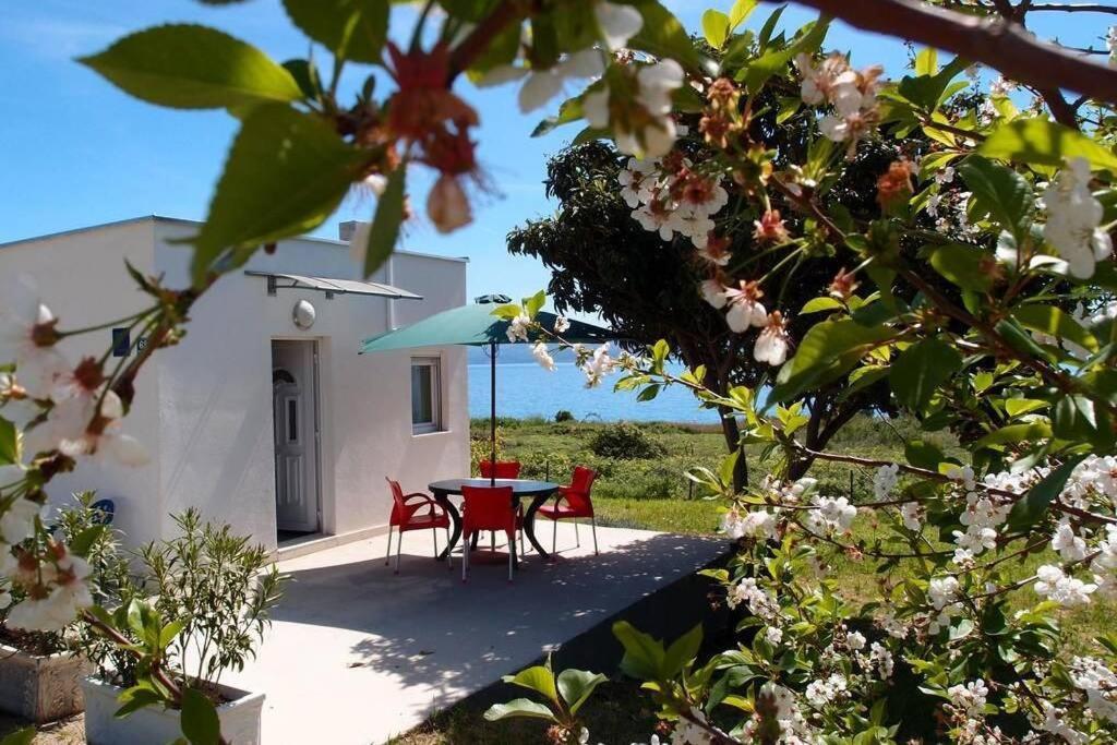 Summerhouse Calypso Split Exterior photo